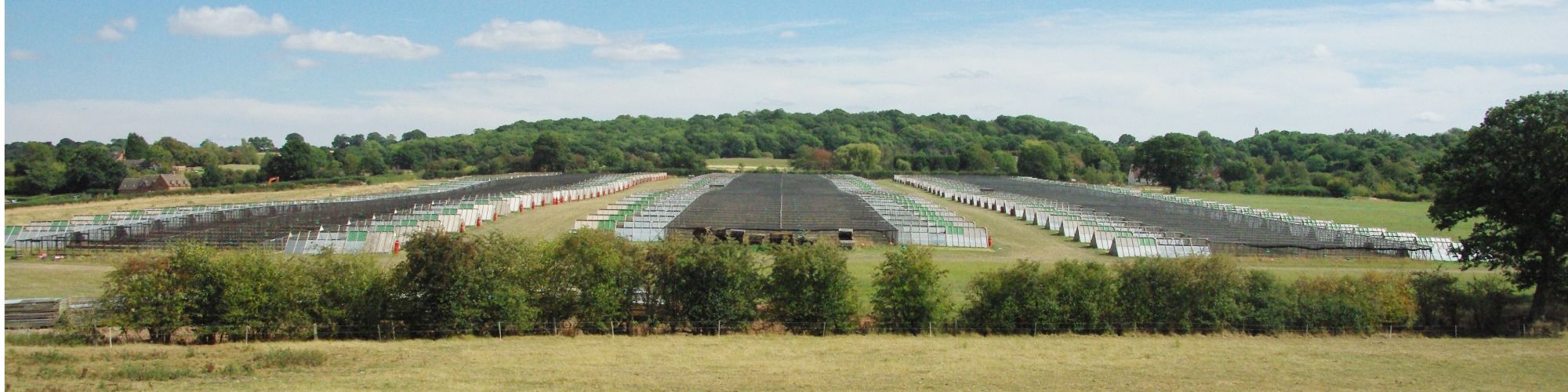 Heart of England Farms - Breeders of quality game stock